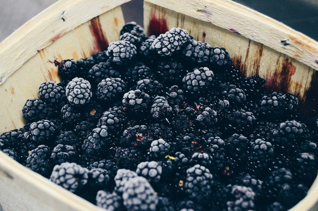 Confiture de mûres sans sucre blanc : recettes bio légères